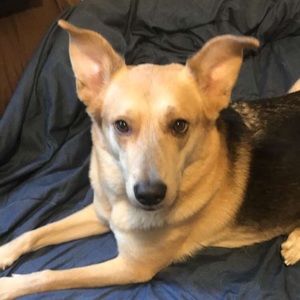 Meet your Posher, Parker